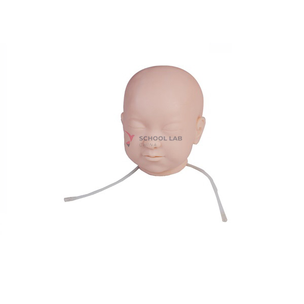 Advance Infant Scalp Venous Injection Model