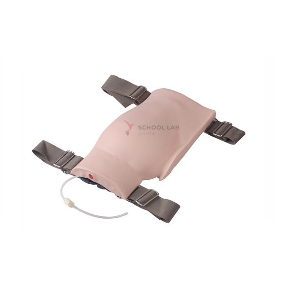 Wearable Buttock for Gluteal Intramuscular Injection Training Model