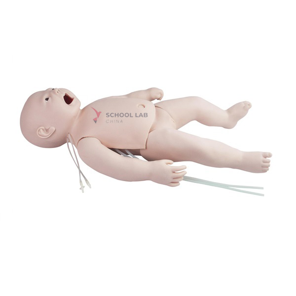 Infant Total-Body Venipuncture Training Model
