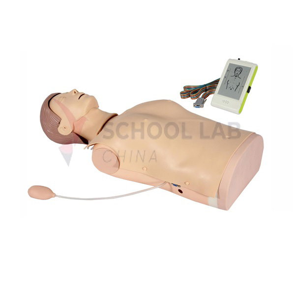 Electronic Half-Body CPR Training Manikin