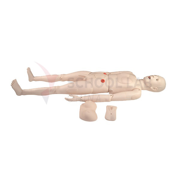 Multifuncational Nursing Manikin (Male)